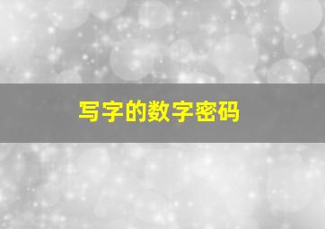 写字的数字密码