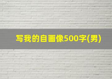 写我的自画像500字(男)