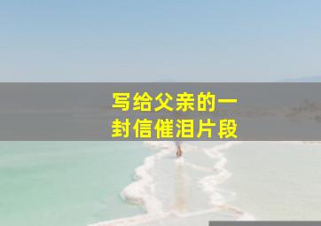 写给父亲的一封信催泪片段