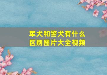 军犬和警犬有什么区别图片大全视频