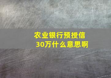 农业银行预授信30万什么意思啊