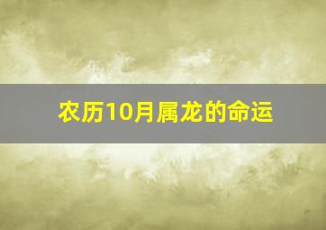 农历10月属龙的命运