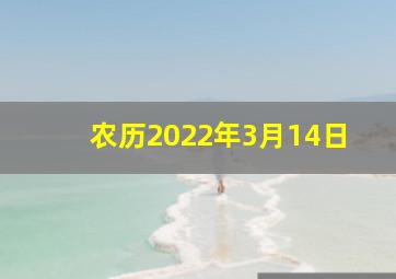 农历2022年3月14日