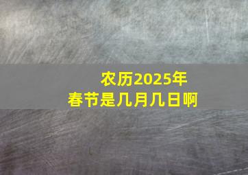 农历2025年春节是几月几日啊