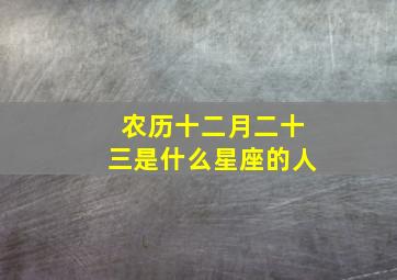 农历十二月二十三是什么星座的人