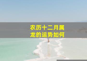 农历十二月属龙的运势如何