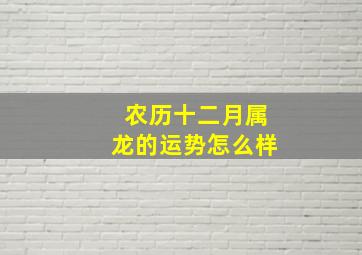 农历十二月属龙的运势怎么样