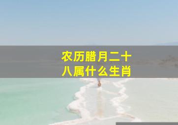 农历腊月二十八属什么生肖