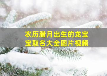 农历腊月出生的龙宝宝取名大全图片视频