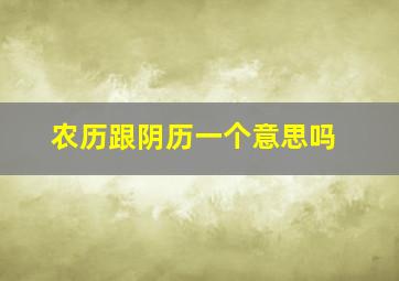 农历跟阴历一个意思吗