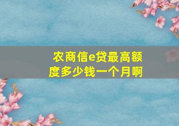 农商信e贷最高额度多少钱一个月啊