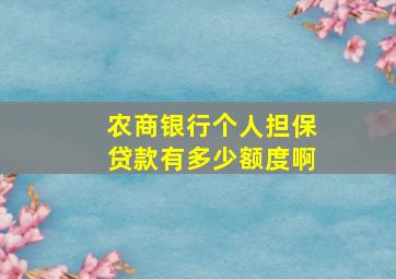 农商银行个人担保贷款有多少额度啊