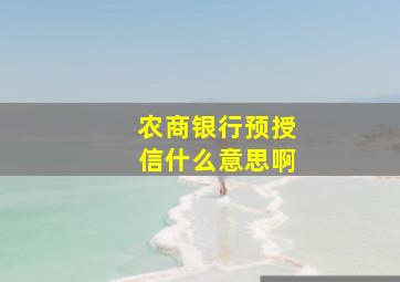 农商银行预授信什么意思啊