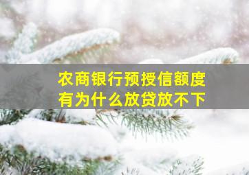 农商银行预授信额度有为什么放贷放不下