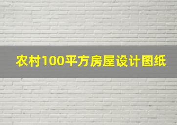 农村100平方房屋设计图纸