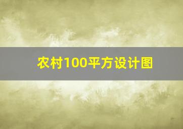 农村100平方设计图