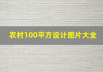 农村100平方设计图片大全