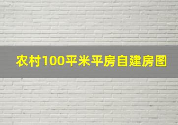 农村100平米平房自建房图