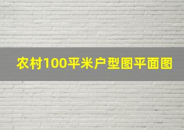 农村100平米户型图平面图