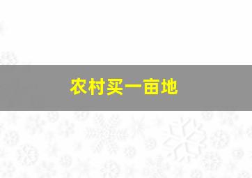 农村买一亩地