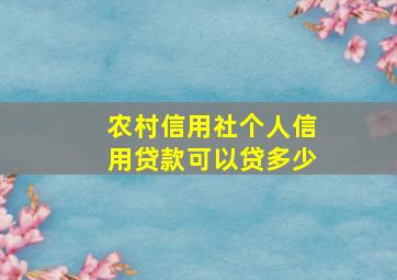 农村信用社个人信用贷款可以贷多少