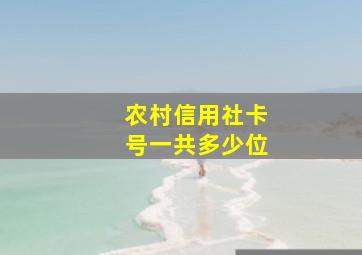 农村信用社卡号一共多少位