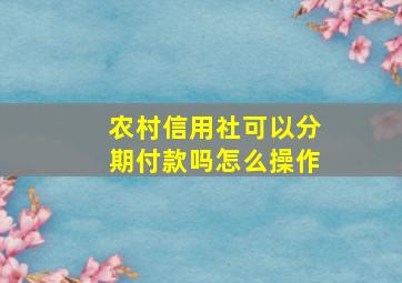 农村信用社可以分期付款吗怎么操作