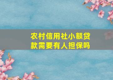 农村信用社小额贷款需要有人担保吗