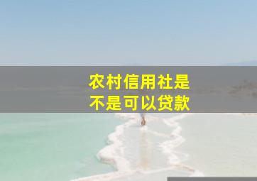 农村信用社是不是可以贷款