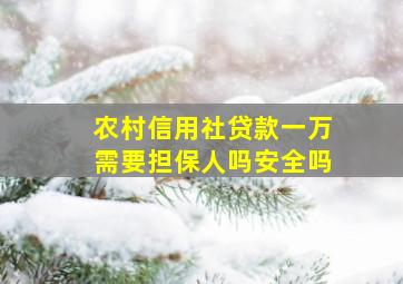 农村信用社贷款一万需要担保人吗安全吗