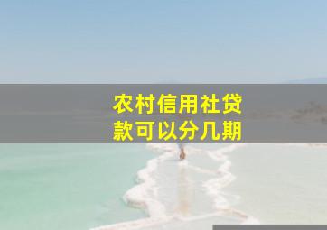 农村信用社贷款可以分几期