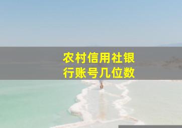 农村信用社银行账号几位数