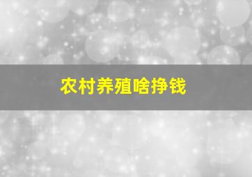 农村养殖啥挣钱