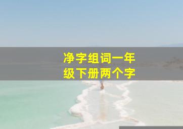 净字组词一年级下册两个字