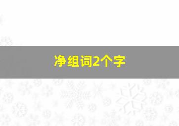 净组词2个字