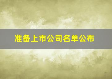 准备上市公司名单公布