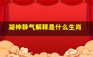 凝神静气解释是什么生肖