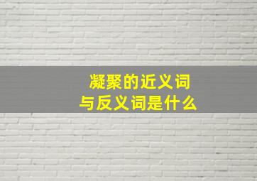 凝聚的近义词与反义词是什么