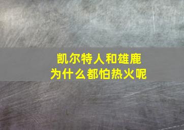 凯尔特人和雄鹿为什么都怕热火呢