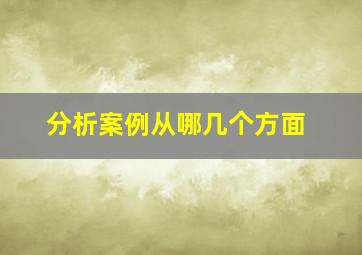 分析案例从哪几个方面