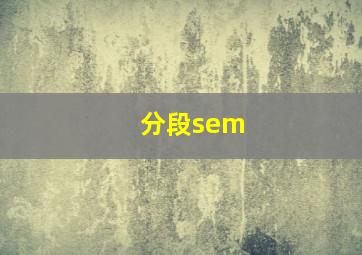 分段sem