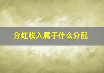 分红收入属于什么分配