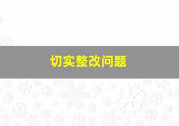 切实整改问题