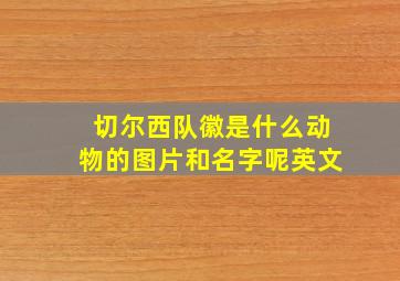 切尔西队徽是什么动物的图片和名字呢英文