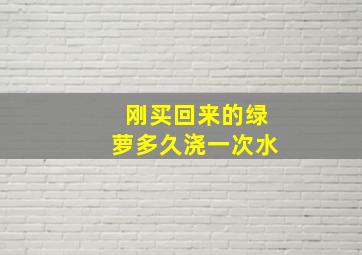 刚买回来的绿萝多久浇一次水