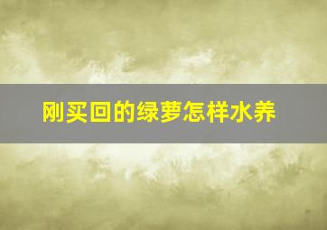 刚买回的绿萝怎样水养