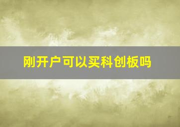 刚开户可以买科创板吗