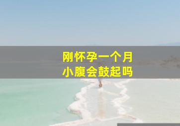 刚怀孕一个月小腹会鼓起吗