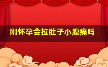 刚怀孕会拉肚子小腹痛吗