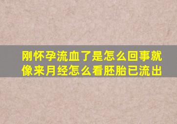 刚怀孕流血了是怎么回事就像来月经怎么看胚胎已流出